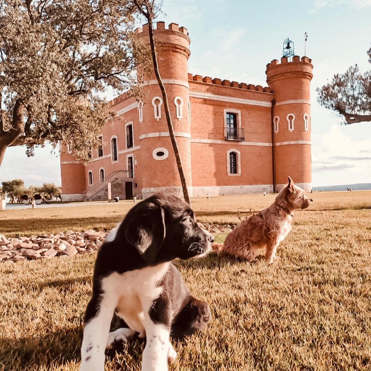 Castillo De Monte La Reina Posada Real & Bodega Toro Eksteriør bilde