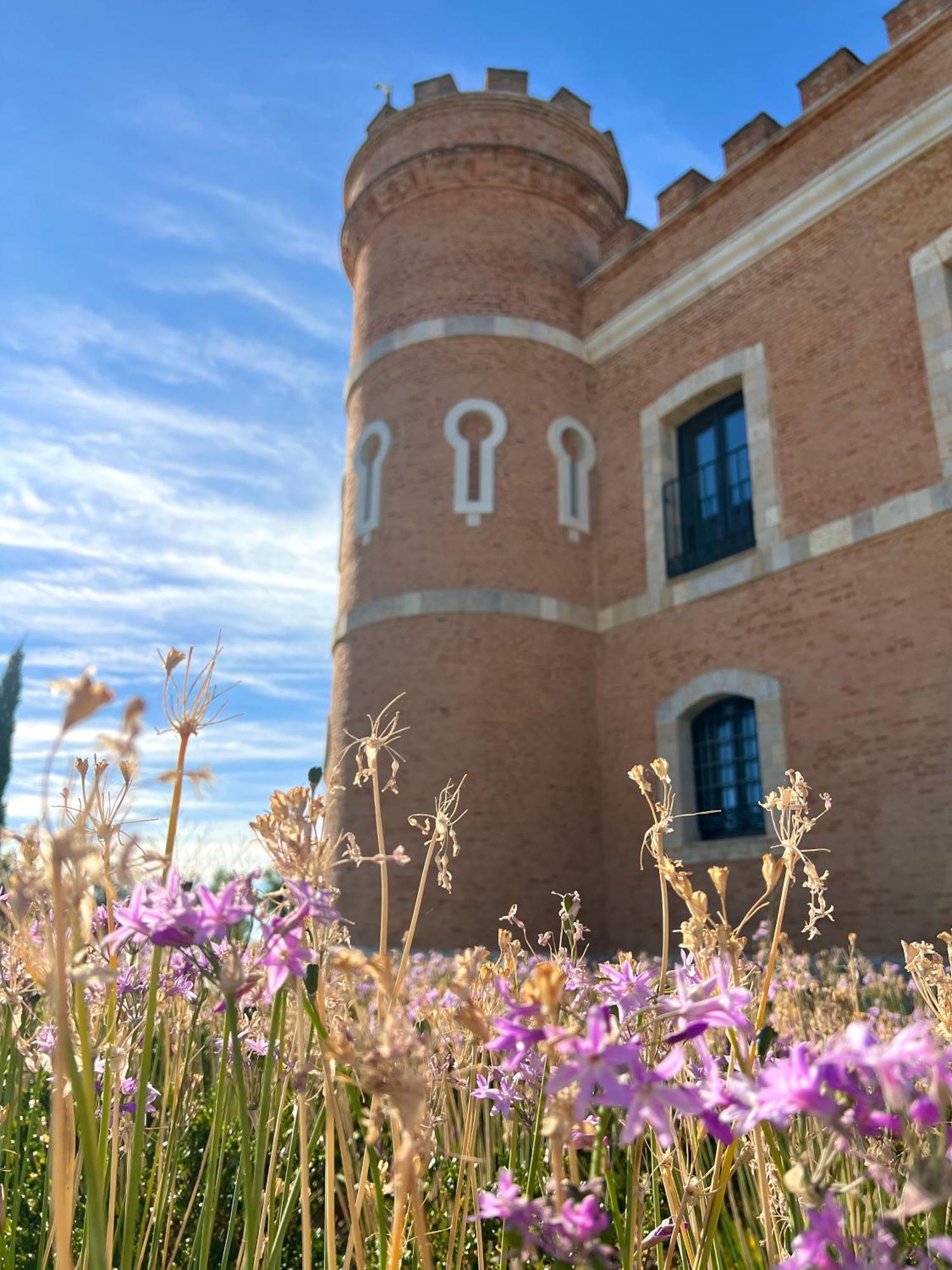 Castillo De Monte La Reina Posada Real & Bodega Toro Eksteriør bilde